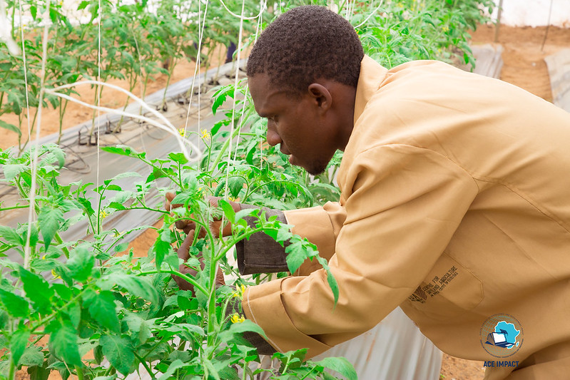 Agri-Food Systems